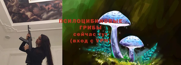 кокс Алексин