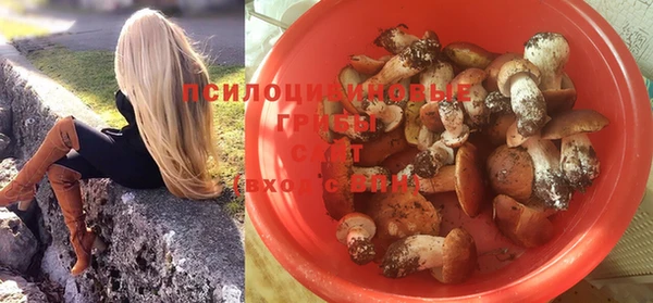 шишки Абинск