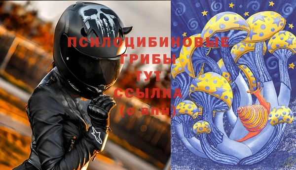индика Лабытнанги