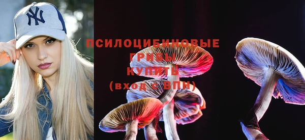 кокс Алексин