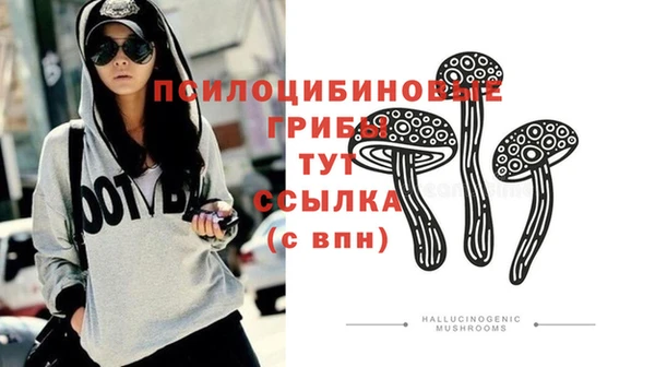 гидропоника Абдулино
