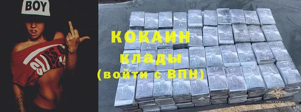 шишки Абинск